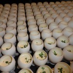 Truffle Custard Next Restaurant Chicago