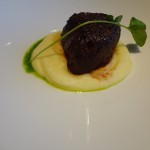 Petite Filet Mignon
