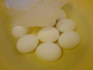 Shocking Eggs for easter