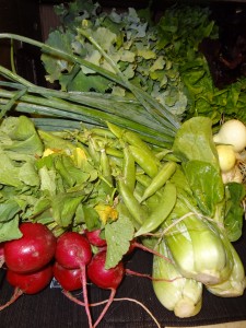 CSA Box