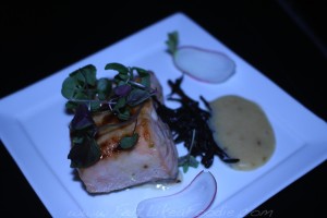 Red Team: Fukuoka block salmon, creamy yuzo miso and hijiki seaweed