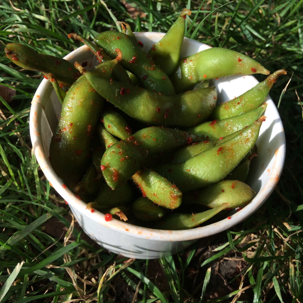 Spicy Edamame from Sunda