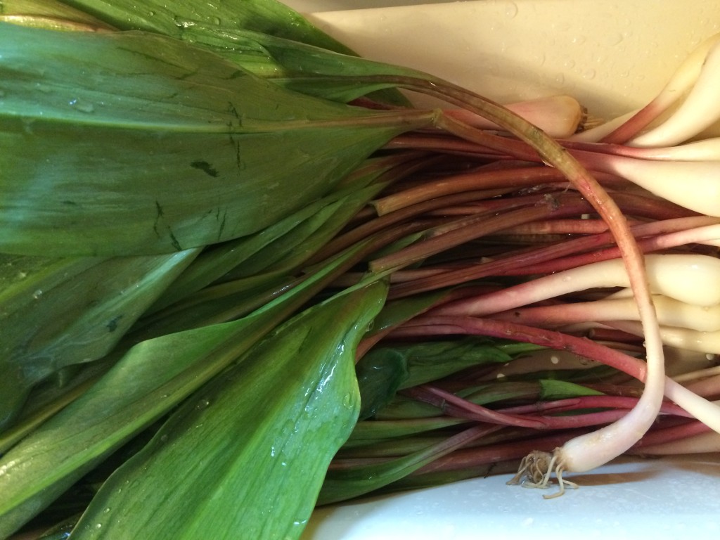 Make sure you rinse them very well because they hold onto dirt like a leek.